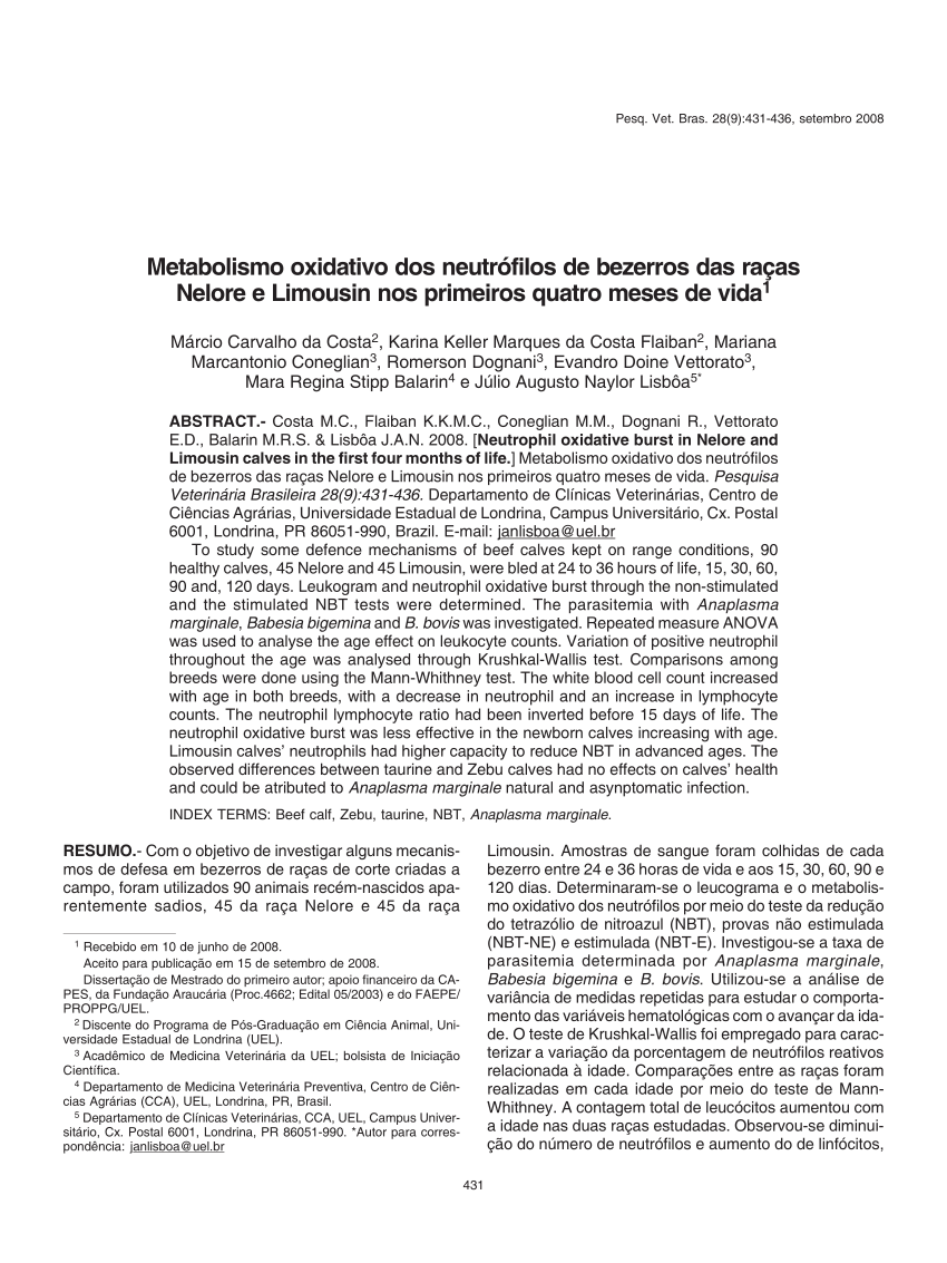 Sangue Neutrófilos Organismos Rbc Vetor PNG , Neutrófilos, Organismos