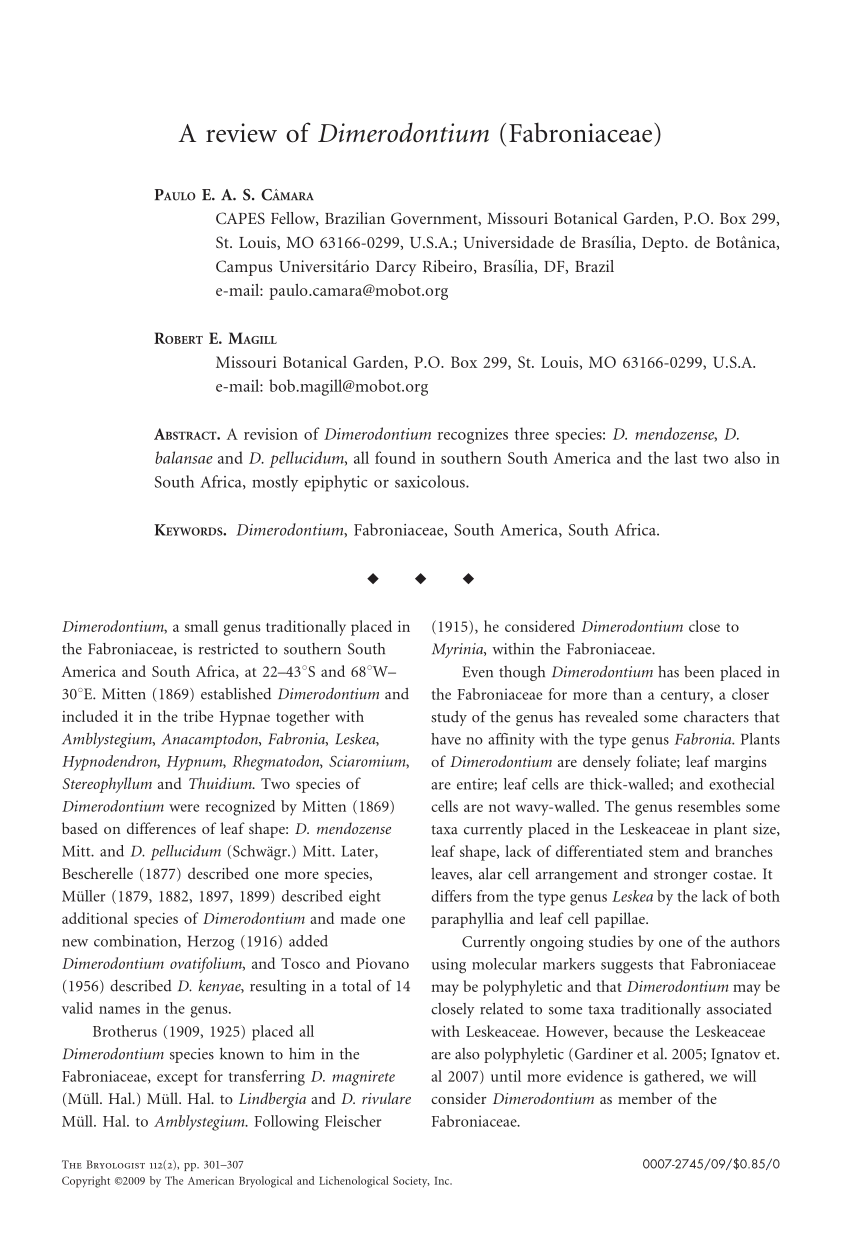 Octospora tucumanensis (Pezizales), a new bryophilous ascomycete on  Dimerodontium balansae (Bryophyta) from Argentina