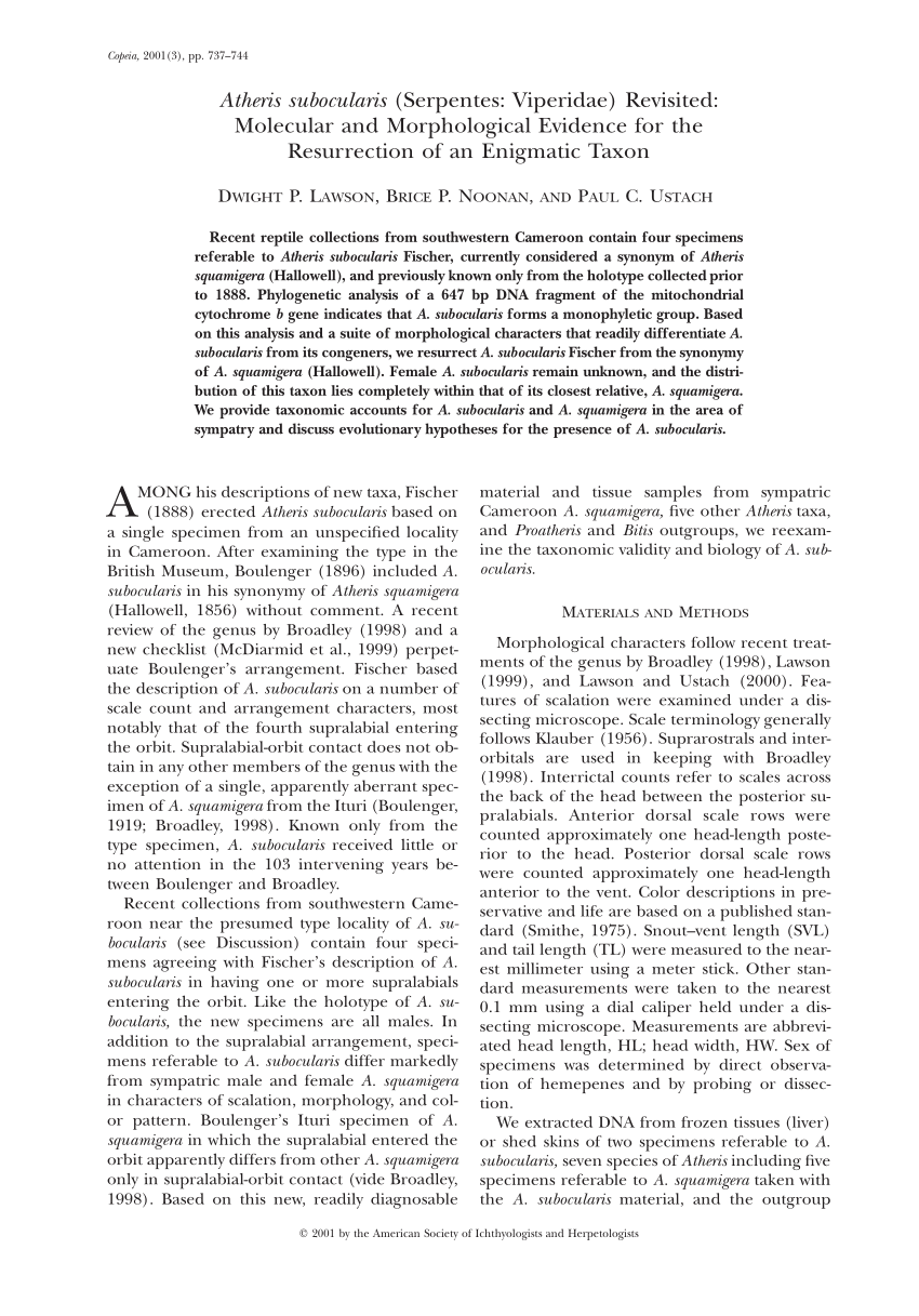 Species New to Science: [Herpetology • 2000] A Redescription of Atheris  squamigera (Hallowell, 1854) • widespread species of Central Africa