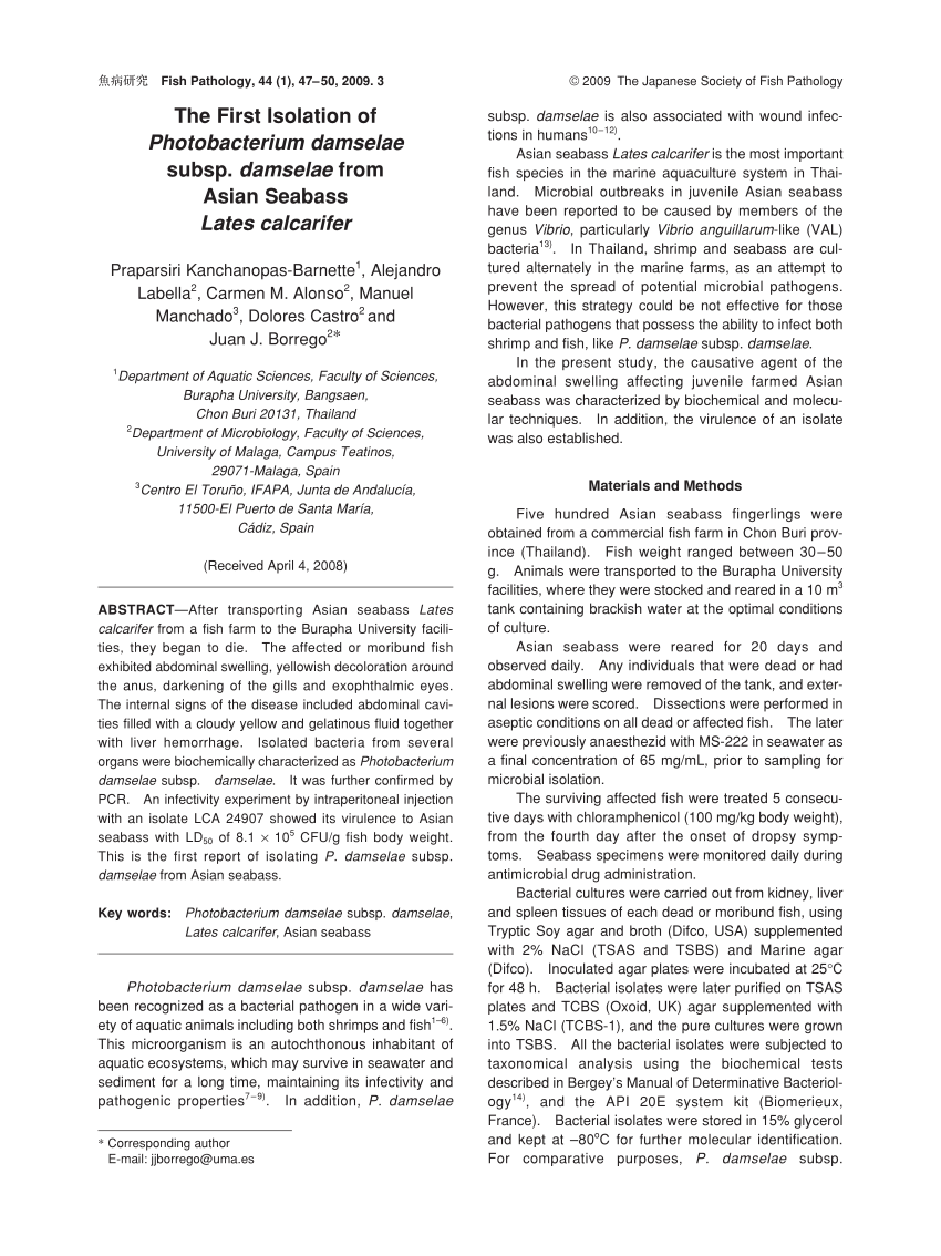 (PDF) The First Isolation of Photobacterium damselae subsp. damselae ...