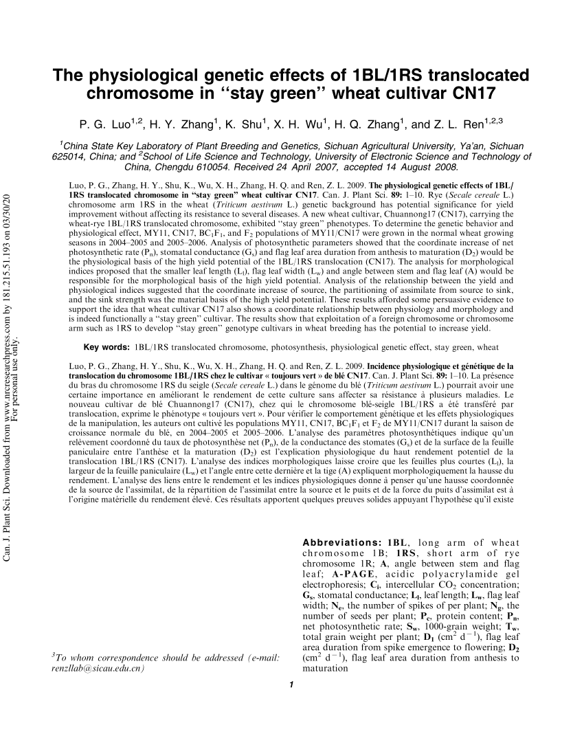 Pdf The Physiological Genetic Effects Of 1bl 1rs Translocated Chromosome In Stay Green Wheat Cultivar Cn17