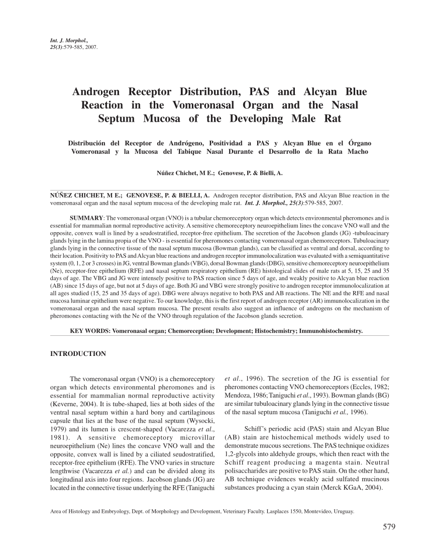 Pdf Androgen Receptor Distribution Pas And Alcyan Blue Reaction In The Vomeronasal Organ And The Nasal Septum Mucosa Of The Developing Male Rat