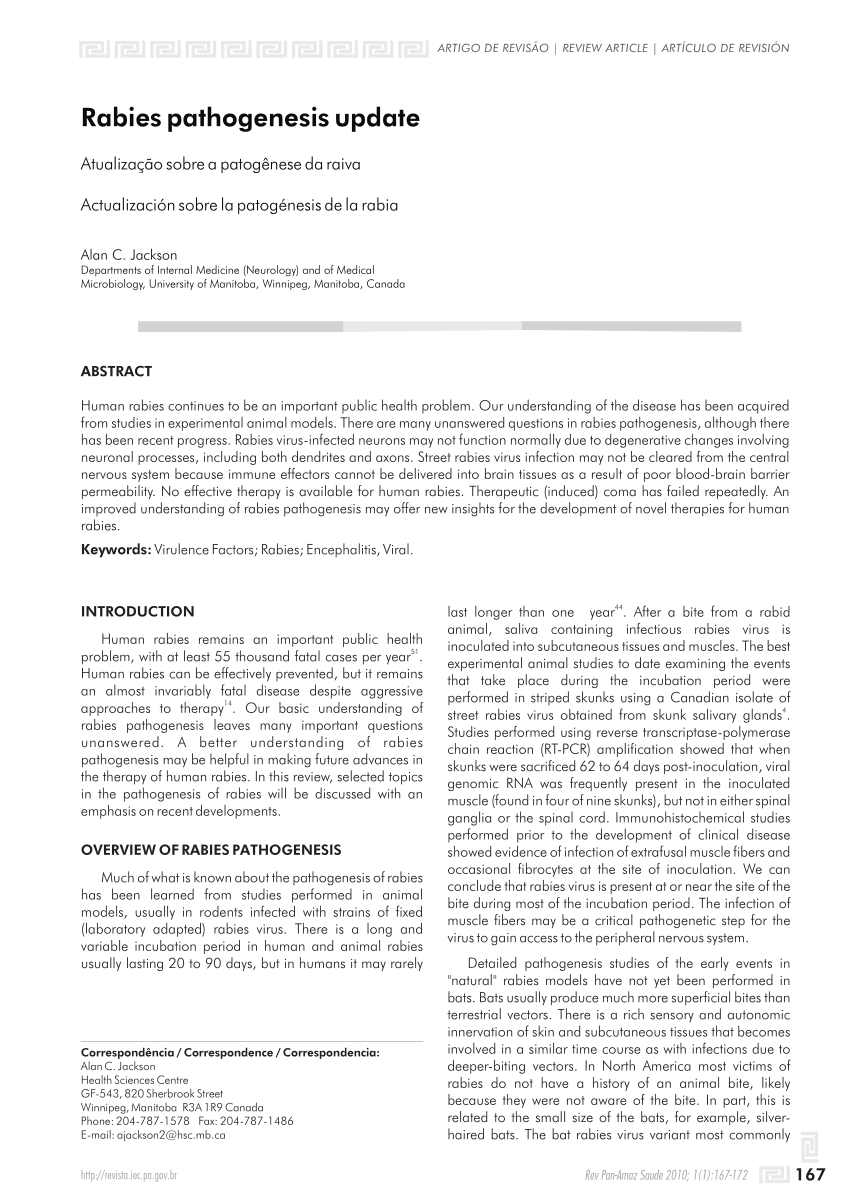 (PDF) Rabies pathogenesis update