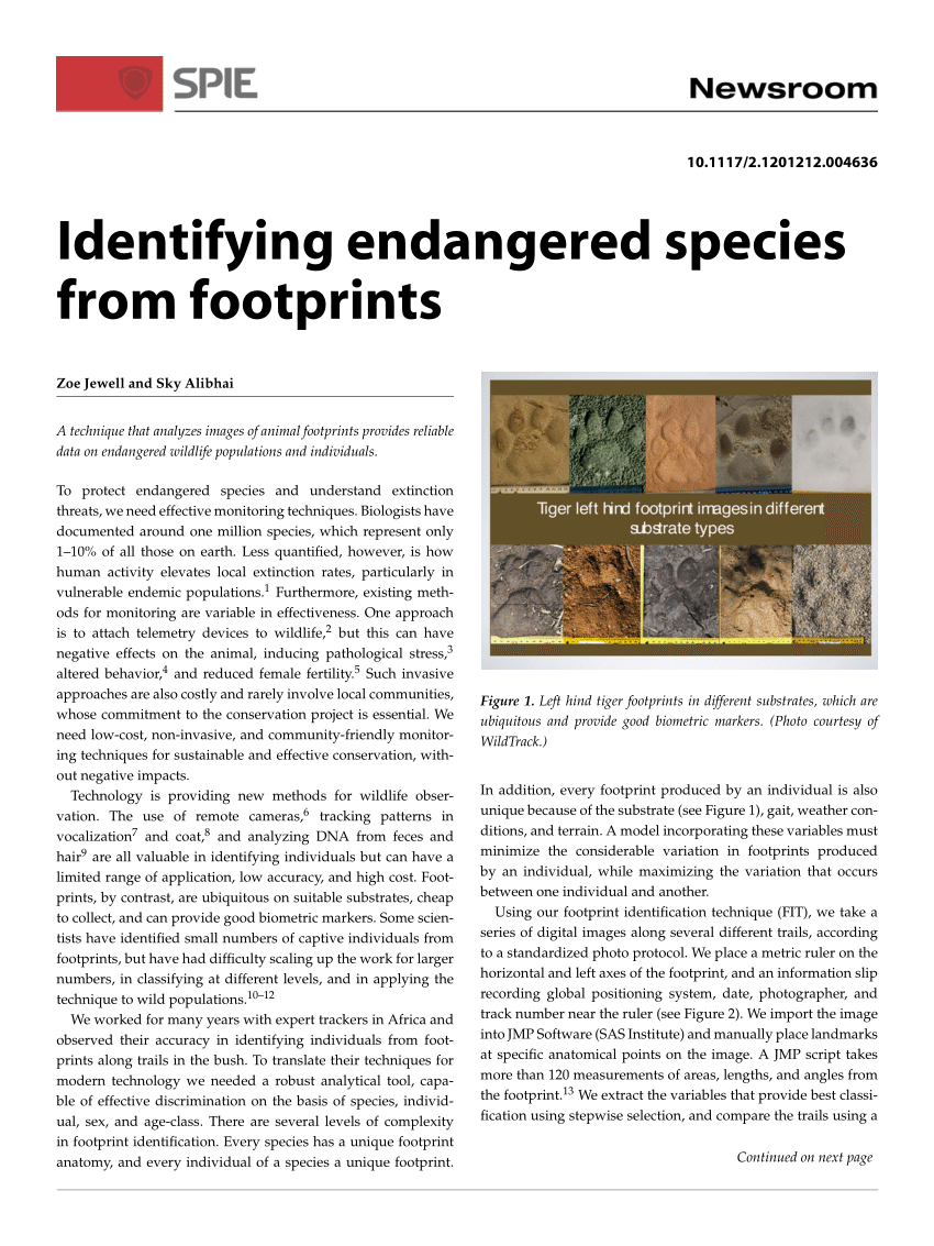 PDF) Identifying endangered species from footprints
