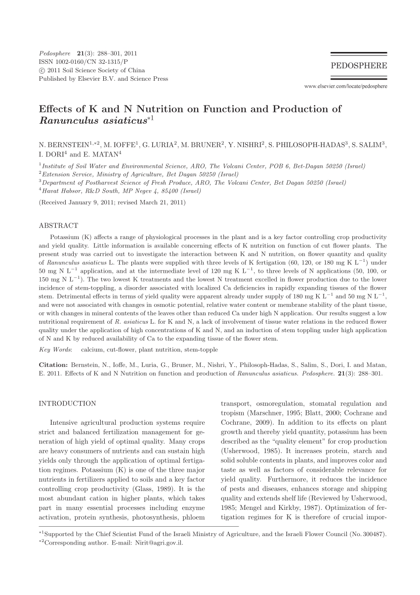 Pdf Effects Of K And N Nutrition On Function And Production Of Ranunculus Asiaticus