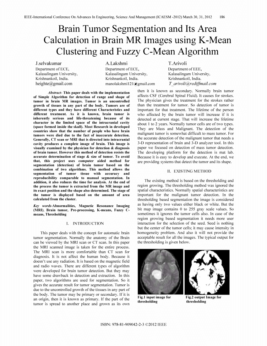 brain tumor segmentation research paper