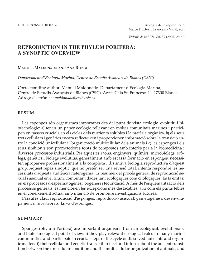 PDF The Problem Of Germ Layers In Sponges Porifera And Some