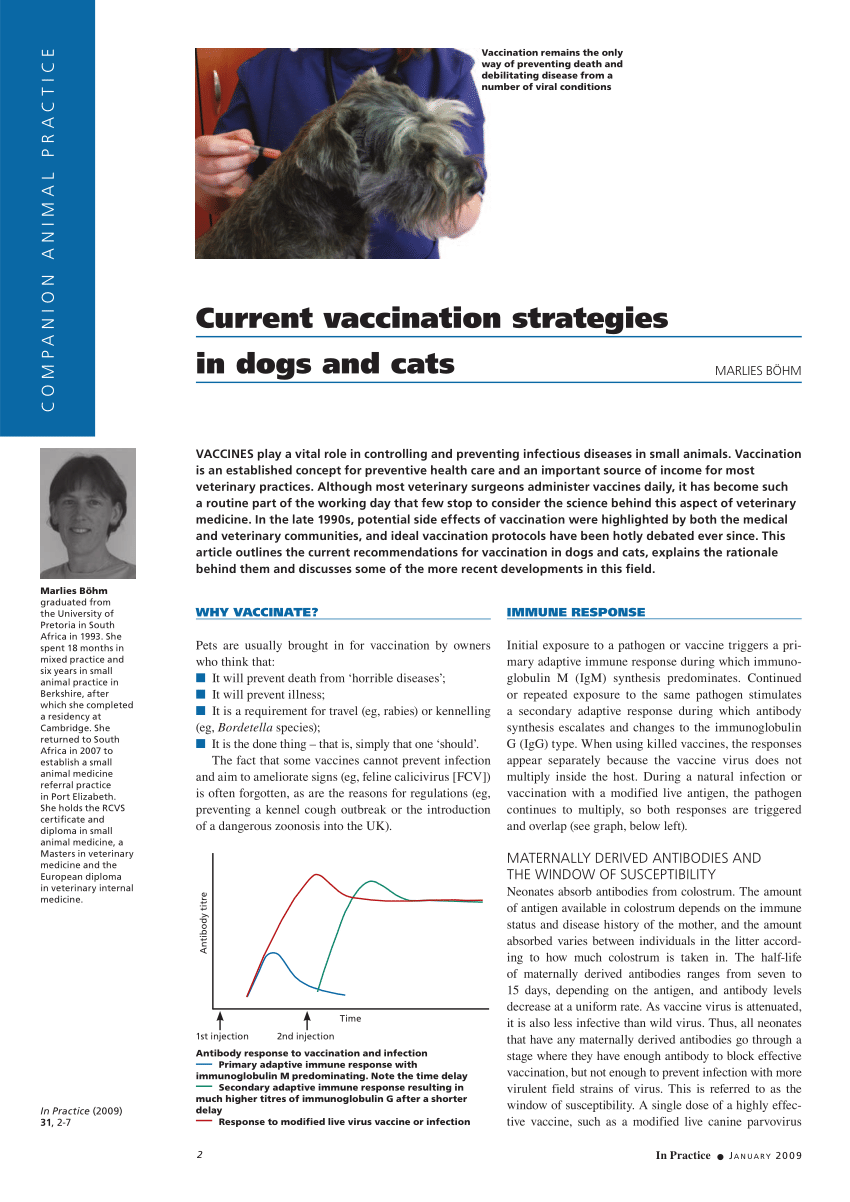 can vaccines cause pancreatitis in dogs