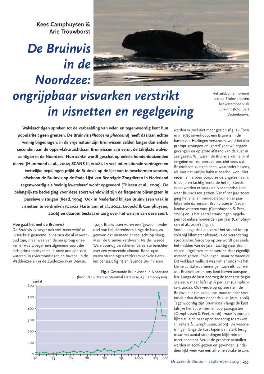 Pdf De Bruinvis In De Noordzee Ongrijpbaar Visvarken Verstrikt In Visnetten En Regelgeving The Harbour Porpoise In The North Sea Elusive Cetacean Enmeshed In Fishing Gear And Legislation In Dutch With English