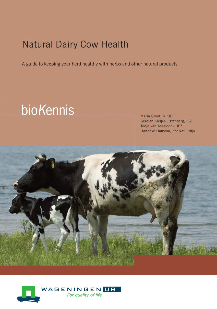 (PDF) Natural dairy cow health : a guide to keeping your herd healthy ...