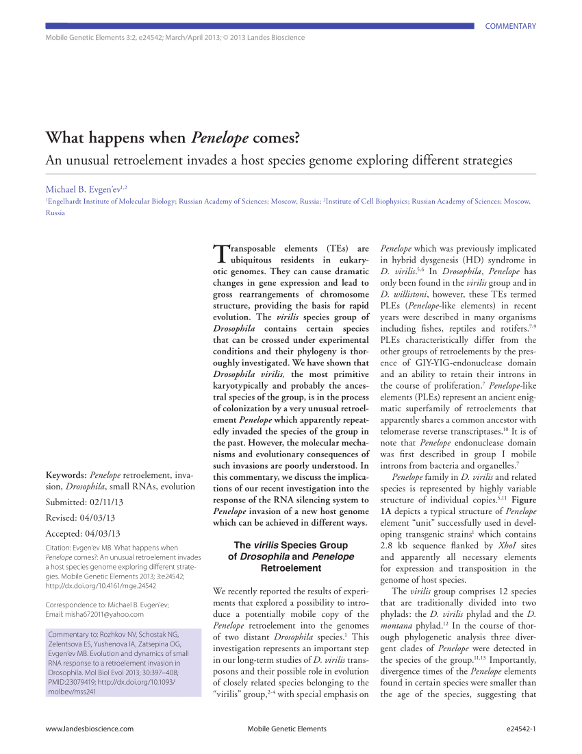 (PDF) What happens when Penelope comes?