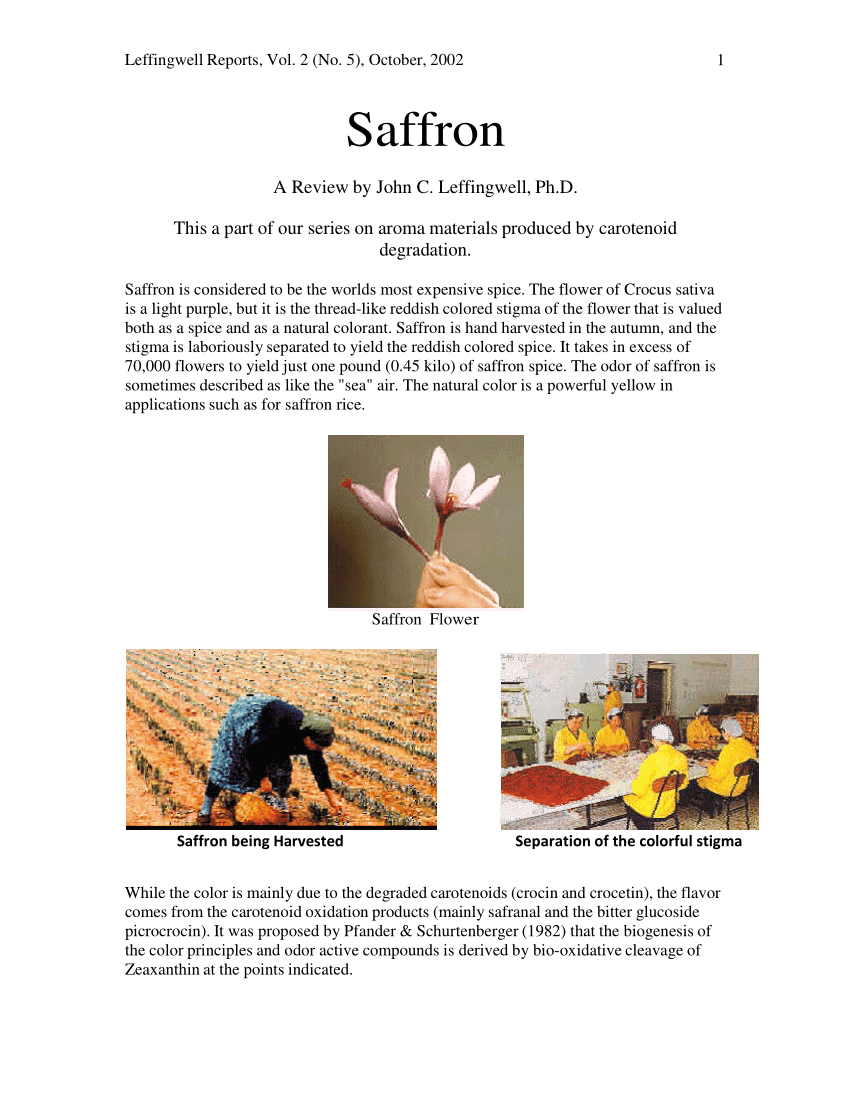 medicine man saffron a kent pdf