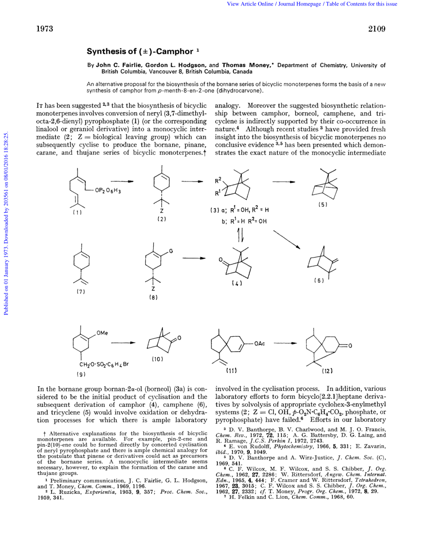 Synthesis Of Camphor Essay