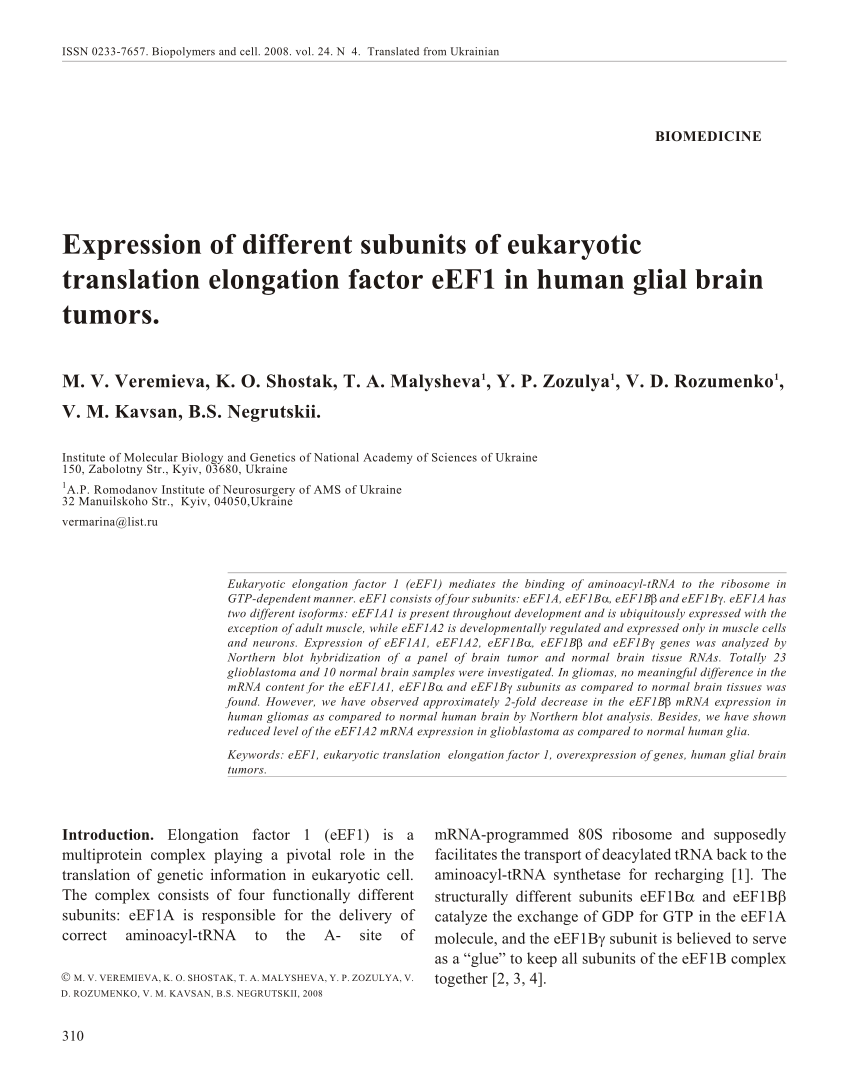 Pdf Expression Of Different Subunits Of Eukaryotic Translation Elongation Factor Eef1 In Human Glial Brain Tumors