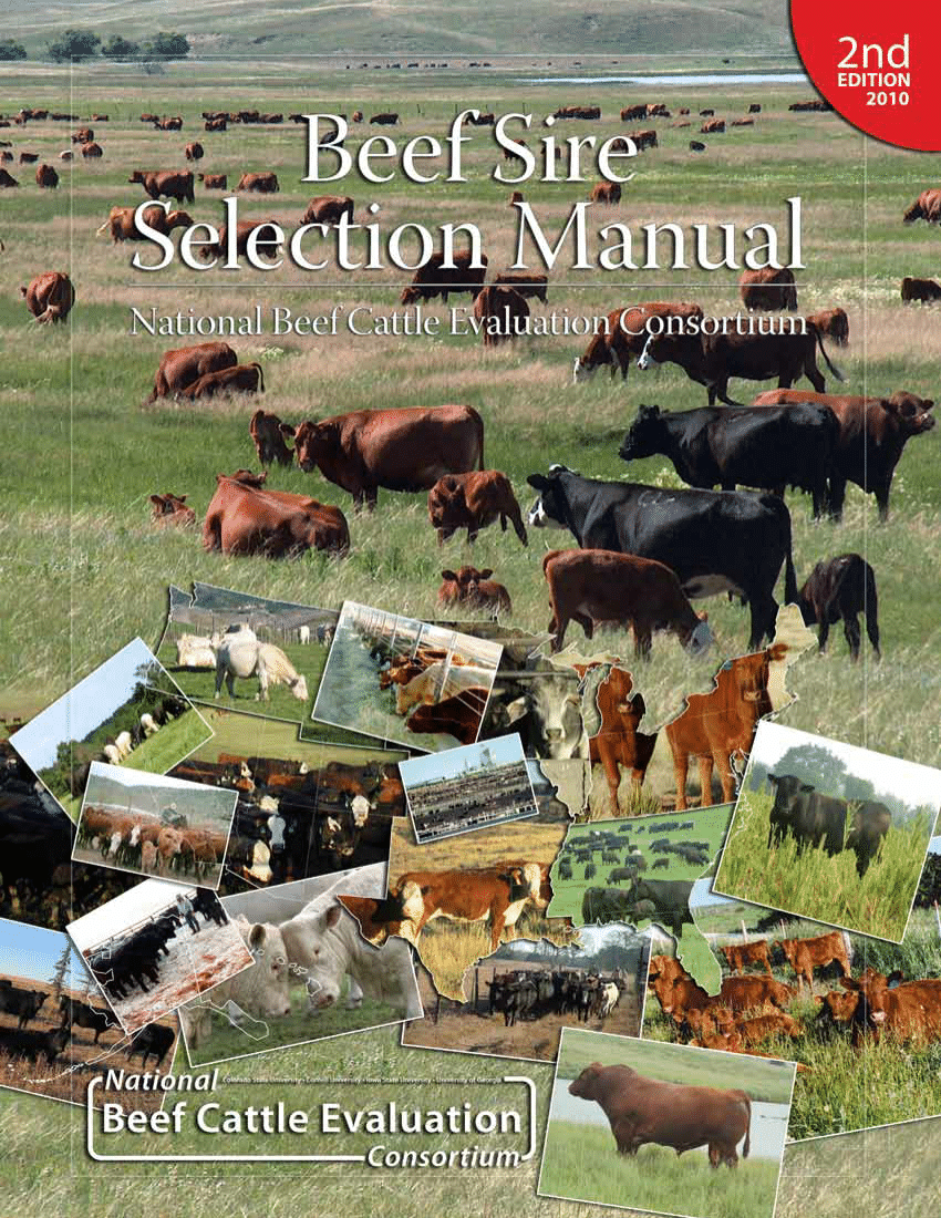 Pdf Nbcec Beef Sire Selection Manual 2nd Edition
