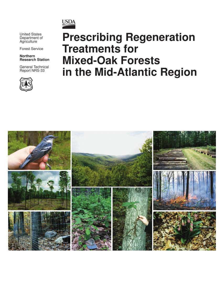 1 The Five States Of The Mid Atlantic Region Of The Eastern United Download Scientific Diagram