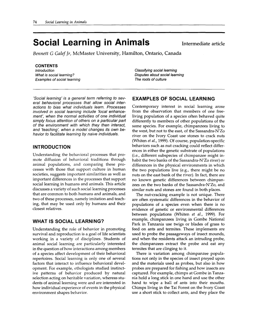 PDF) Animal social learning