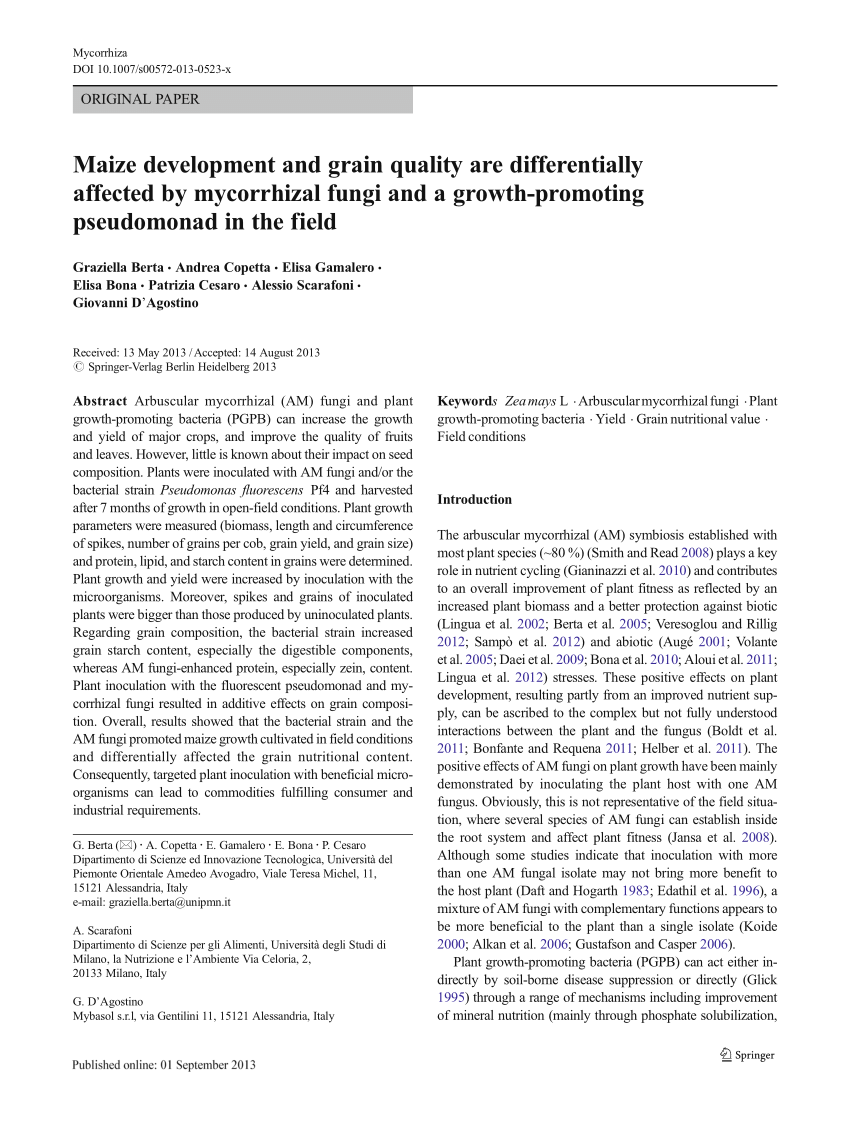 Pdf Maize Development And Grain Quality Are Differentially Affected By Mycorrhizal Fungi And A Growth Promoting Pseudomonad In The Field