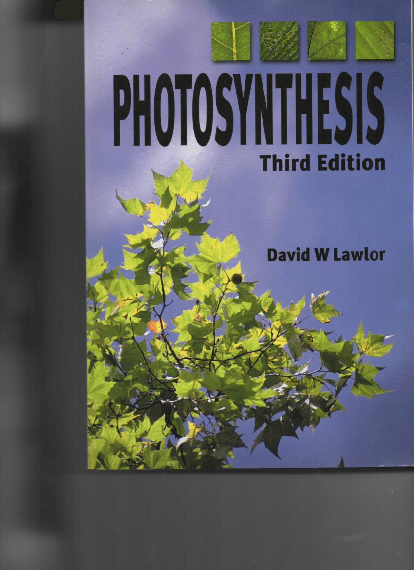 photosynthesis research paper