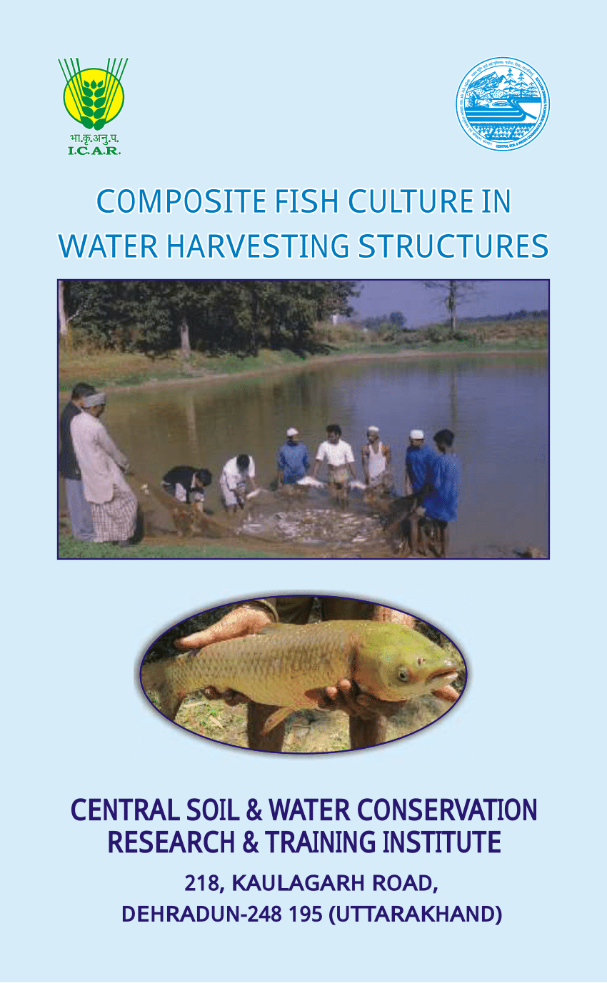 research paper fish culture