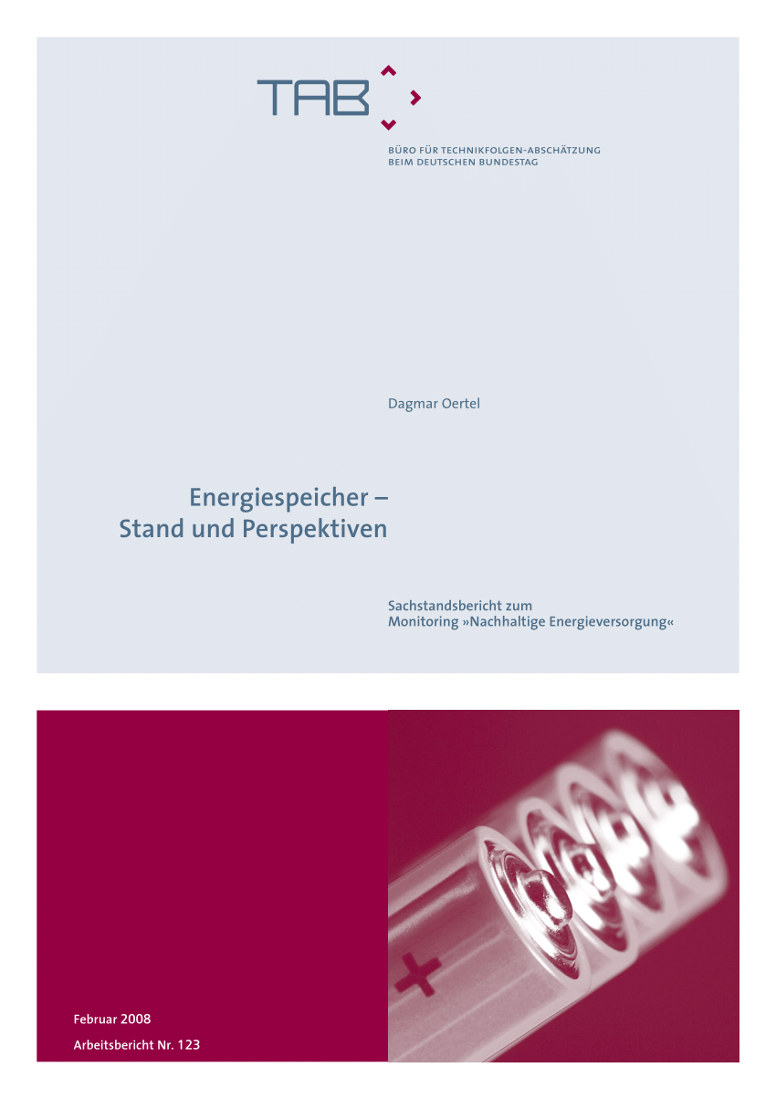 PDF) Energiespeicher – Stand und Perspektiven Themenfeld 3 ...