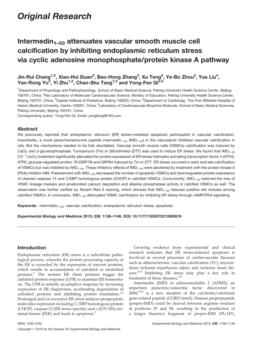 (PDF) Intermedin(1-53) attenuates vascular smooth muscle ...