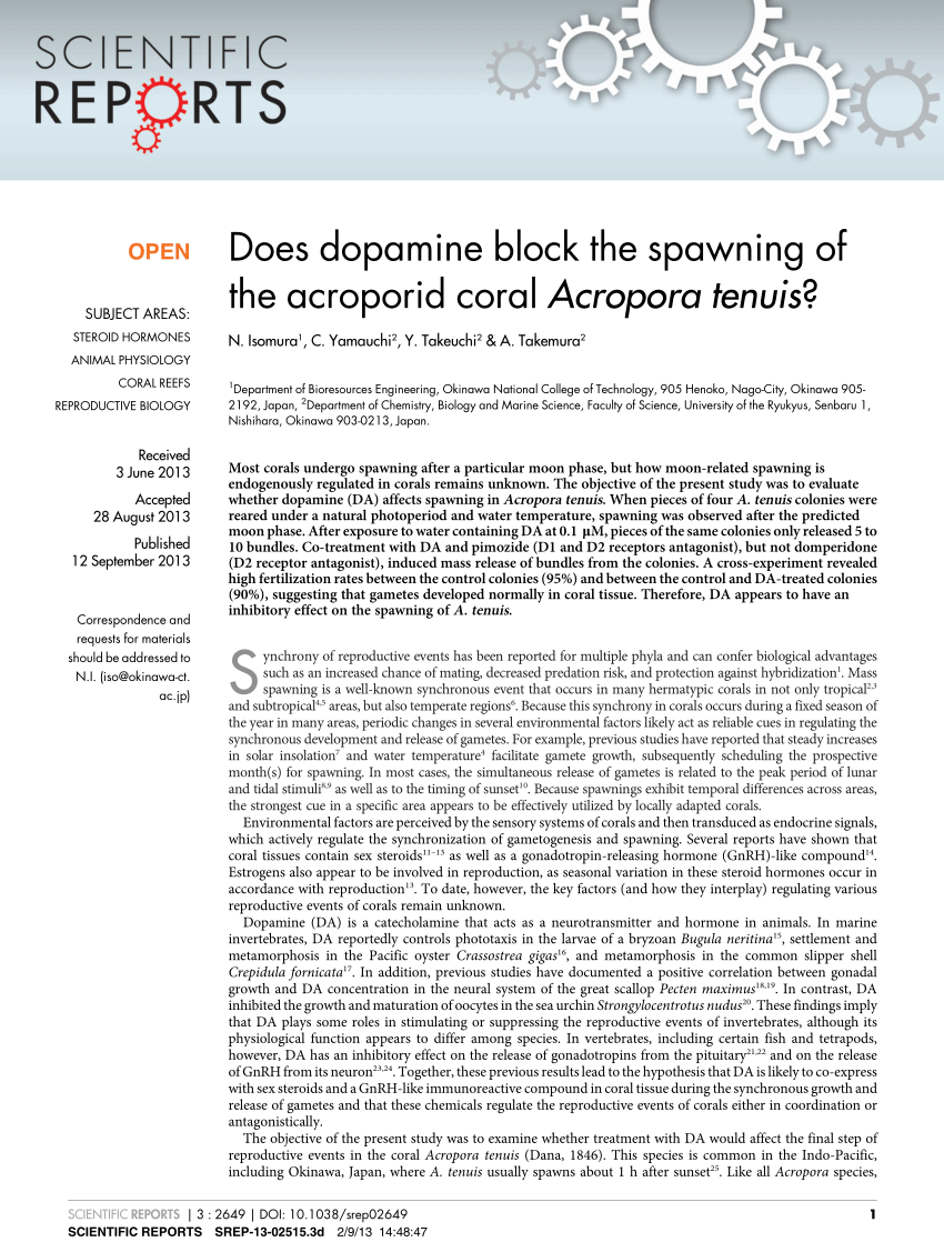 Does dopamine block the spawning of the acroporid coral Acropora tenuis?