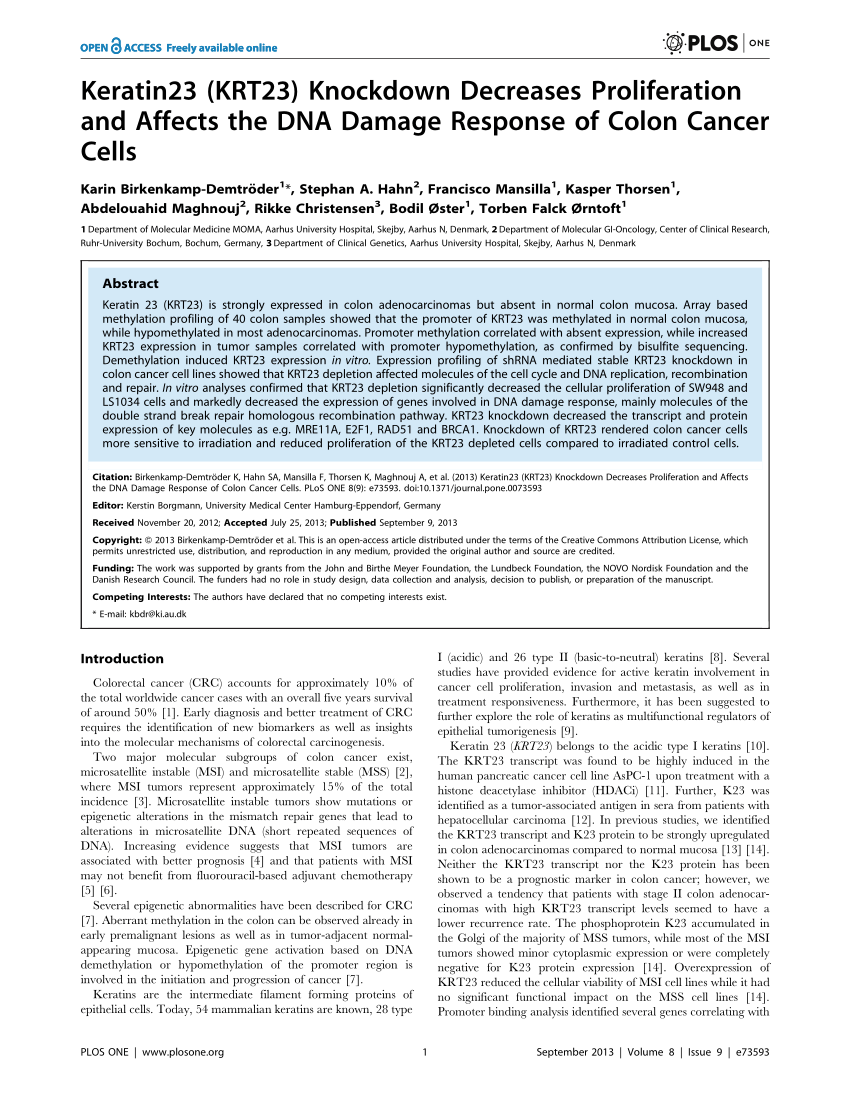 At håndtere hierarki Bliv ophidset PDF) Keratin23 (KRT23) Knockdown Decreases Proliferation and Affects the  DNA Damage Response of Colon Cancer Cells