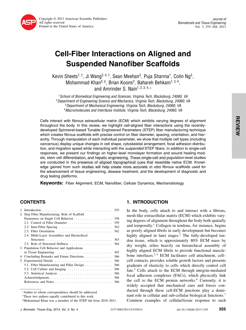 (PDF) Cell-Fiber Interactions on Aligned and Suspended Nanofiber Scaffolds