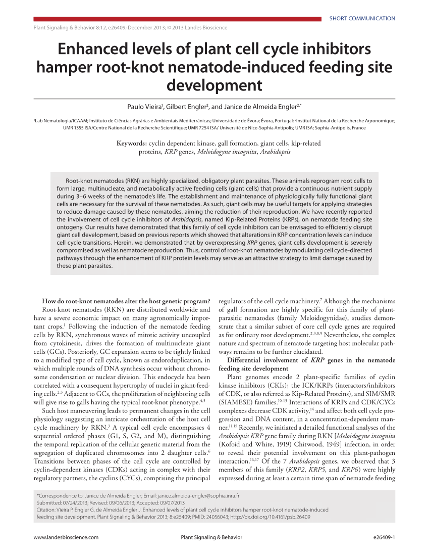 (PDF) Enhanced levels of plant cell cycle inhibitors ...