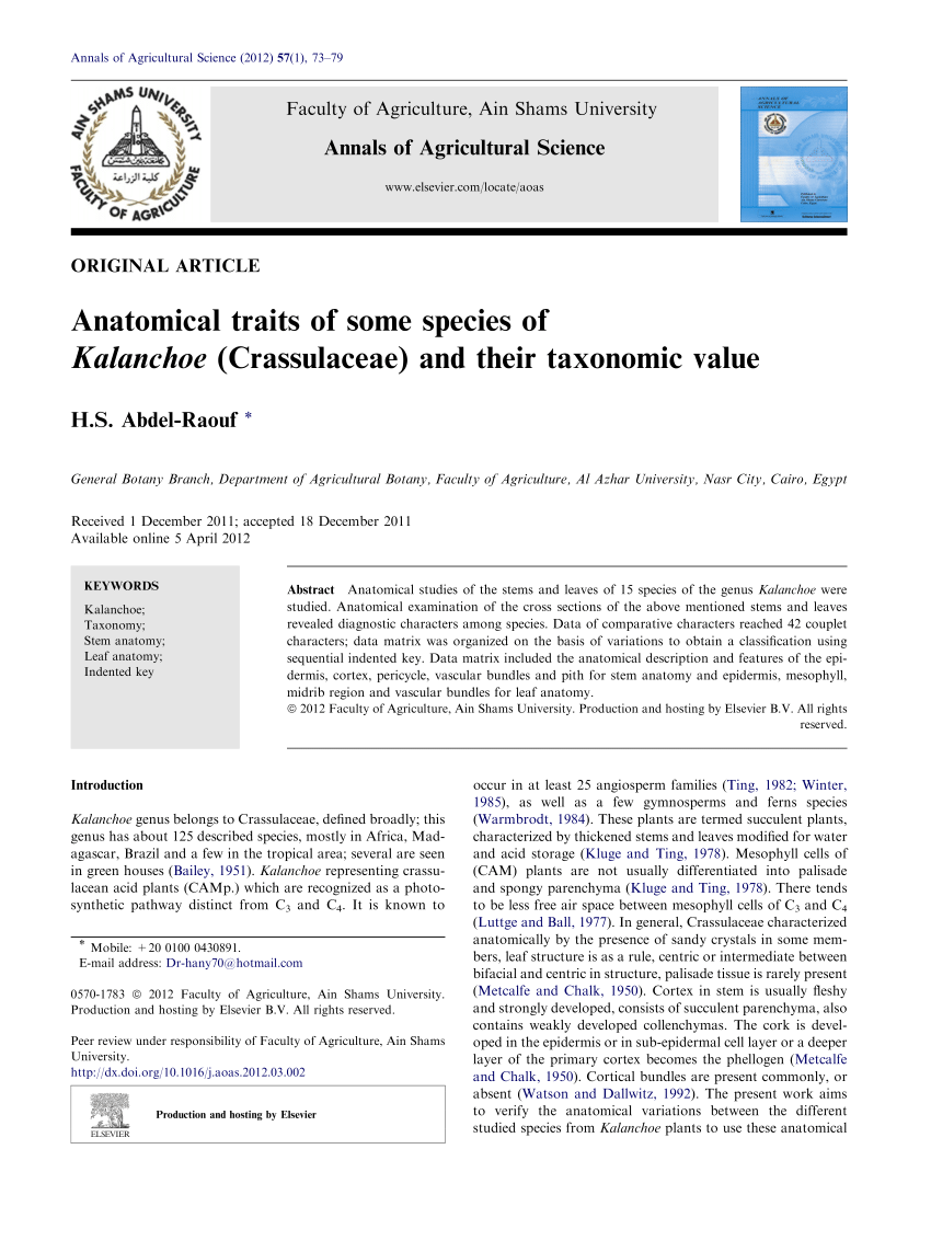 Pdf Anatomical Traits Of Some Species Of Kalanchoe Crassulaceae And Their Taxonomic Value