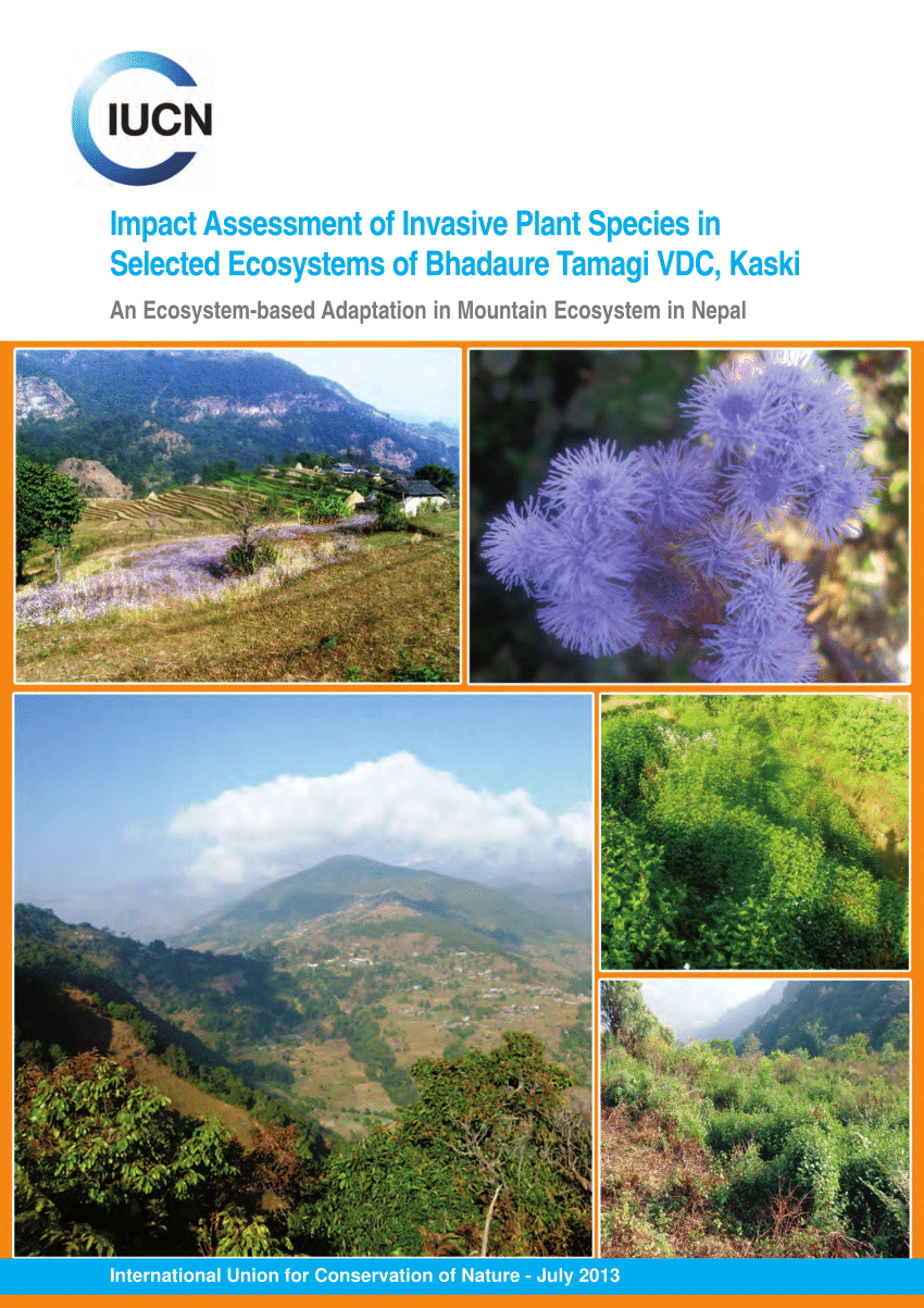 (PDF) Impact Assessment of Invasive Plant Species in Selected ...
