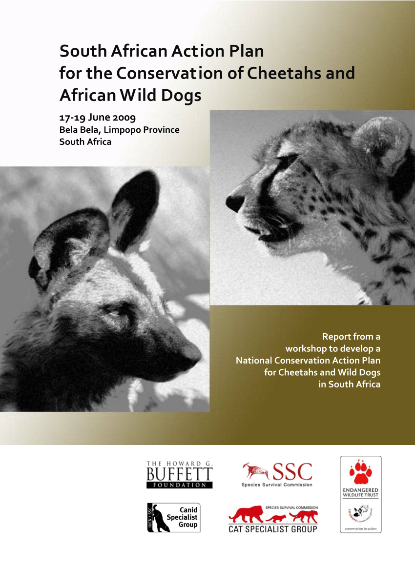 PDF) South African Action Plan for the Conservation of Cheetahs and African Wild Dogs
