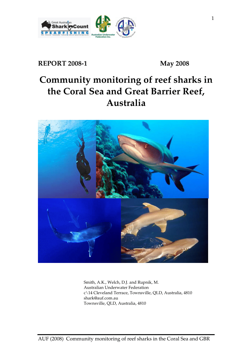 Tiger Shark, Great Barrier Reef: Apex Predator of the GBR