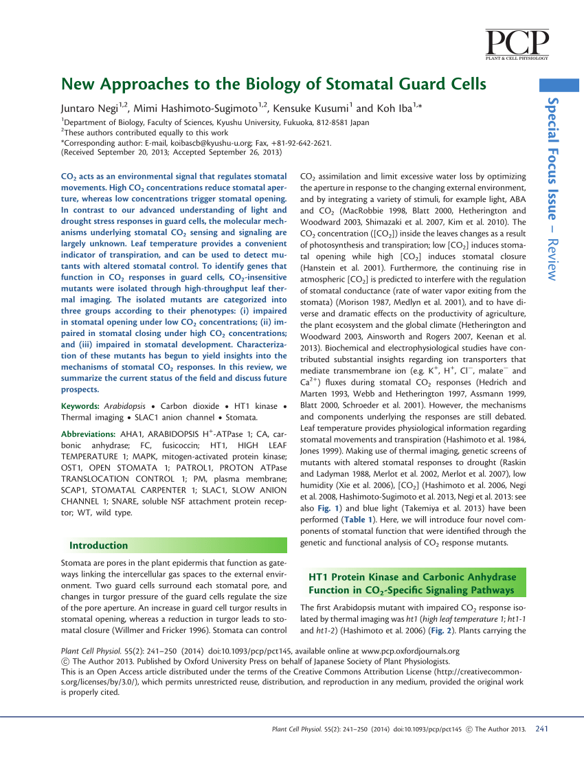 Pdf New Approaches To The Biology Of Stomatal Guard Cells