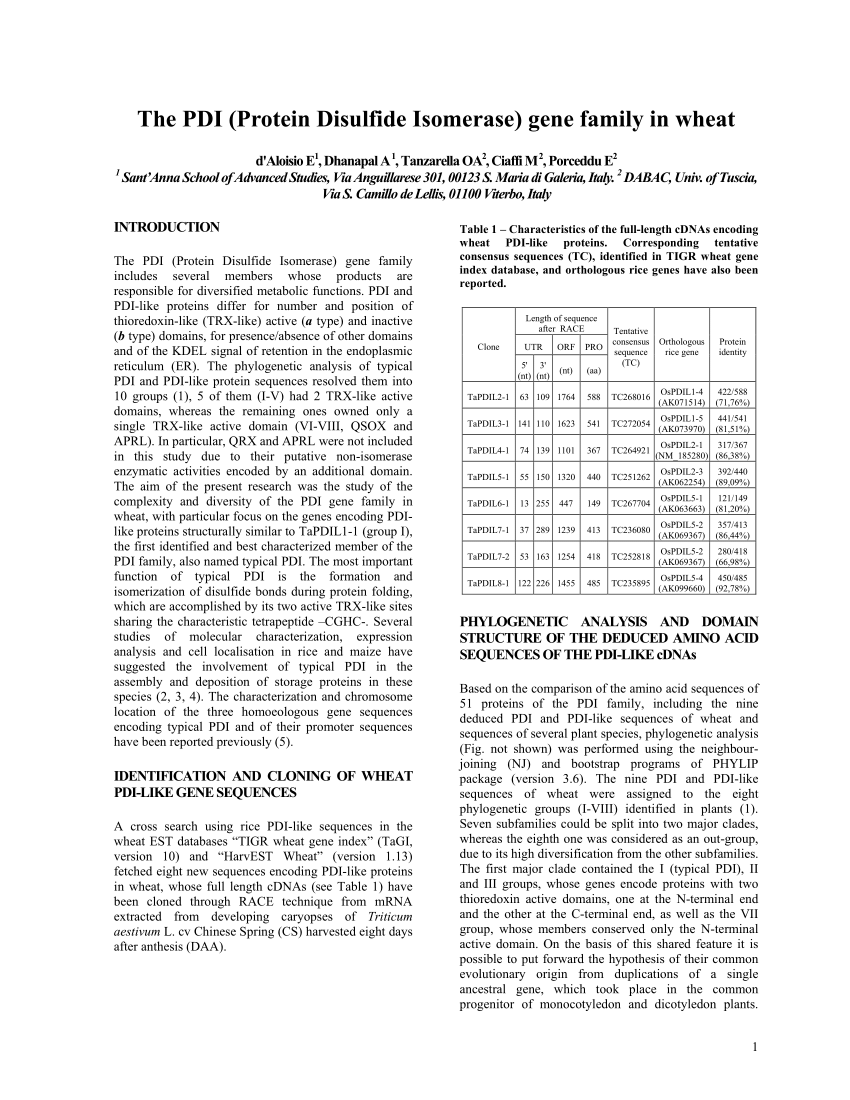 PDI PDF