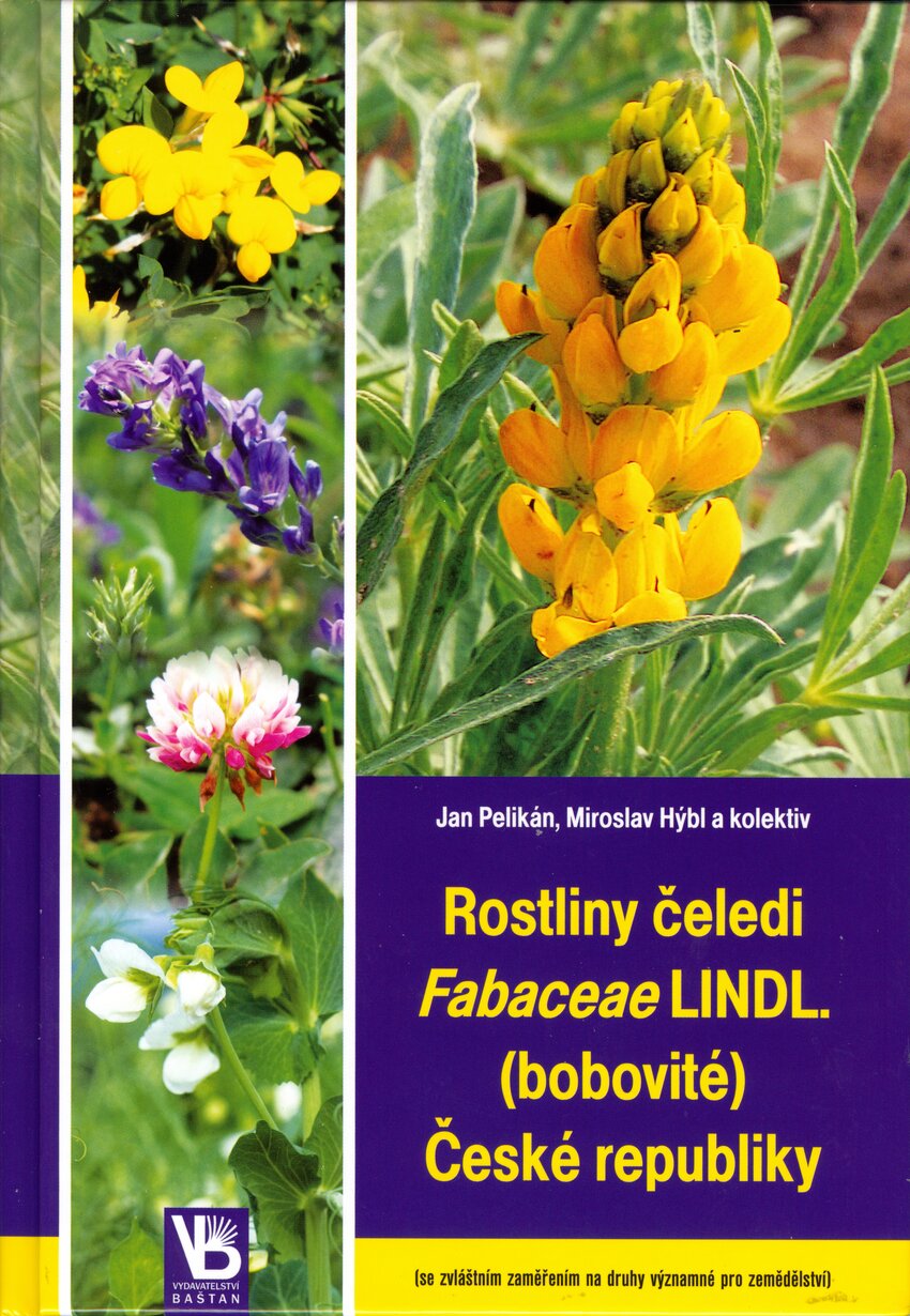  PDF  Plants of the family  Fabaceae  Lindl Legumes in 