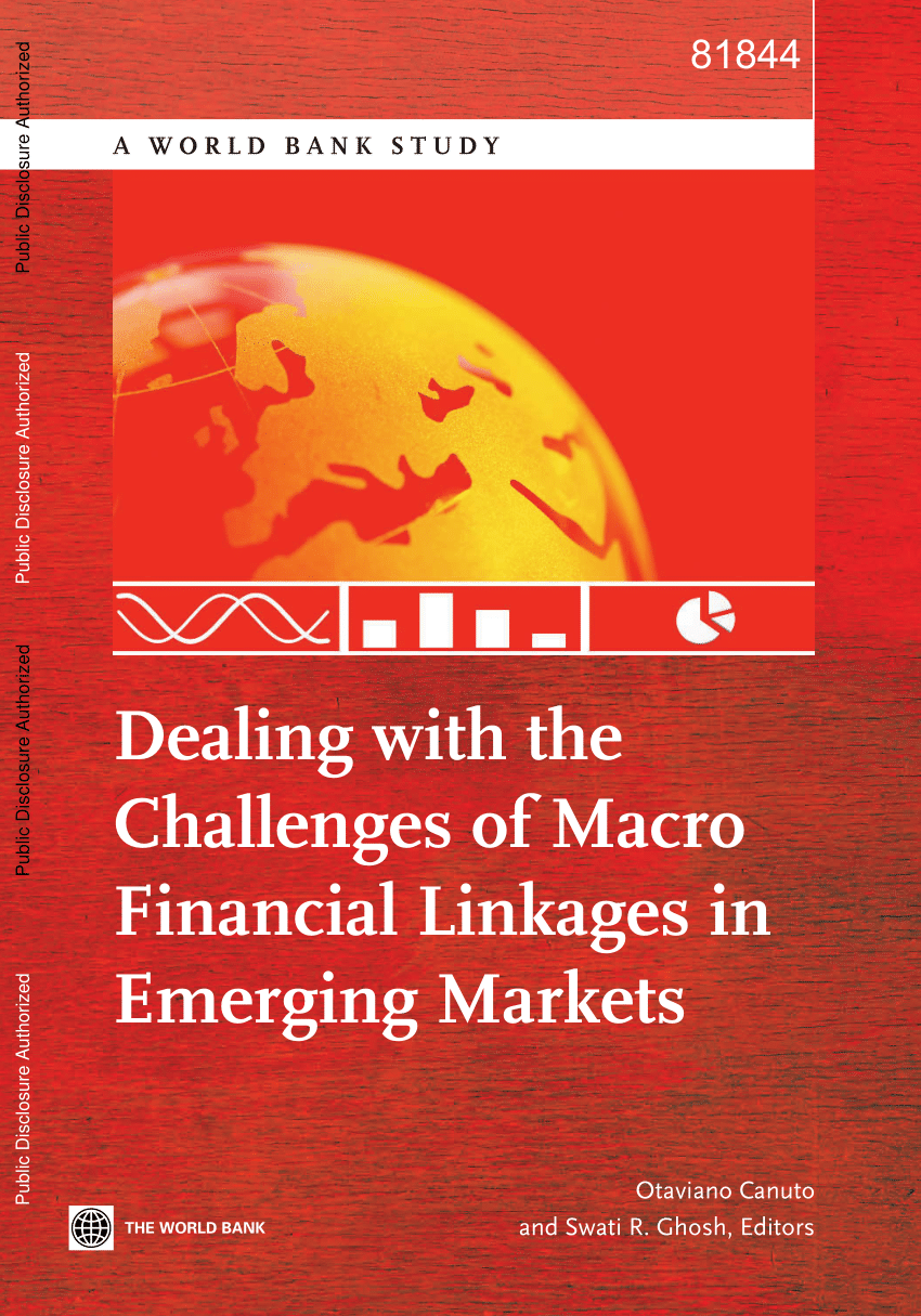PDF) Dealing with the Challenges of Macro Financial Linkages in