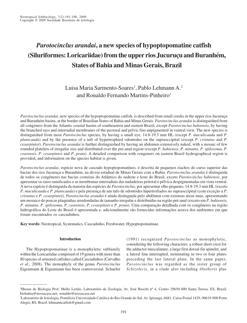 (PDF) Parotocinclus arandai, a new species of 