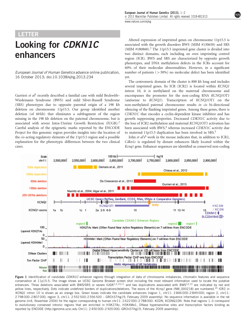 PDF) Rubinstein–Taybi syndrome (CREBBP, EP300)  Martine van Belzen and  Oliver Bartsch 