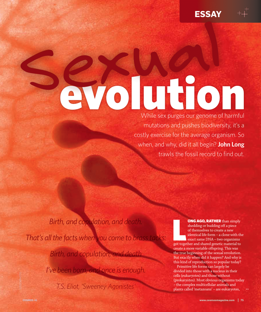 Pdf Sexual Evolution 0301