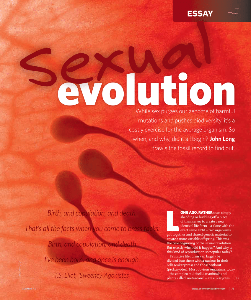 Pdf Sexual Evolution 4774