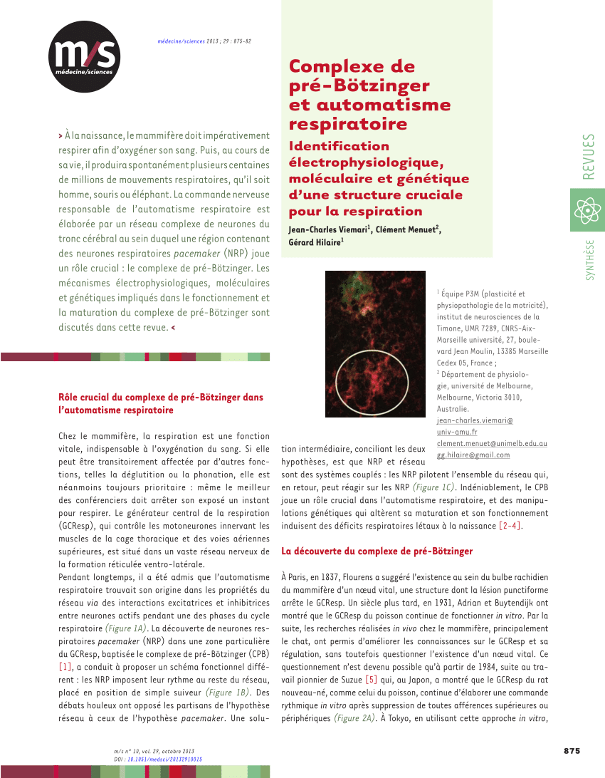 (PDF) Electrophysiological, molecular and genetic identifications of ...