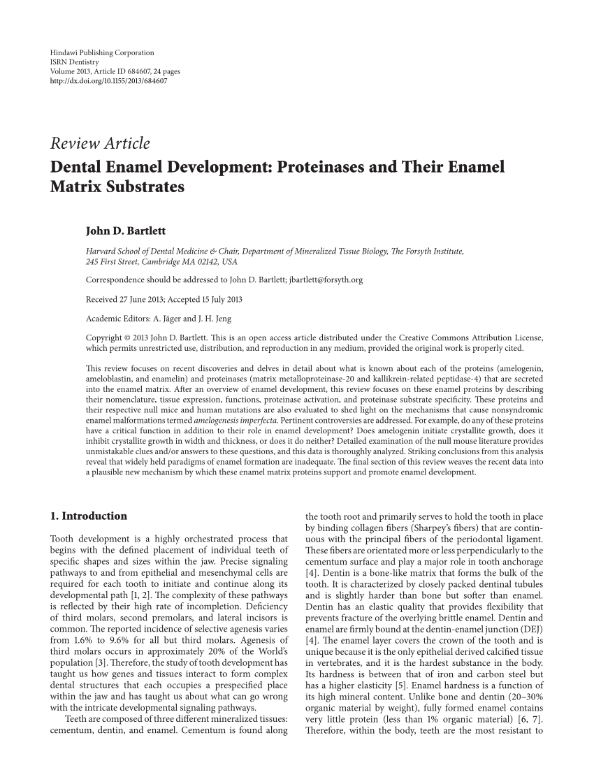 research paper on dental enamel