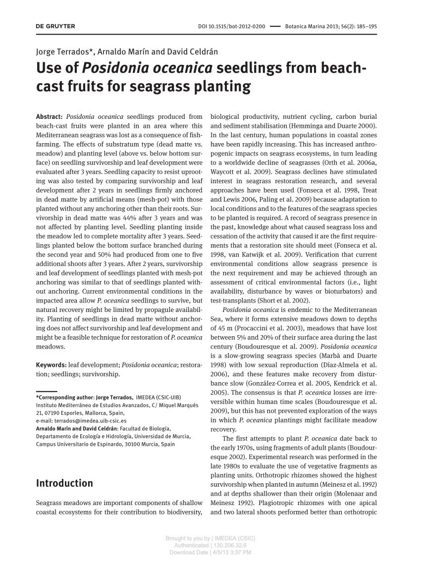 Pdf Use Of Posidonia Oceanica L Delile Seedlings From Beach Cast Fruits For Seagrass Planting