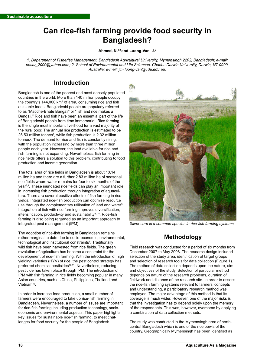 food security in bangladesh essay