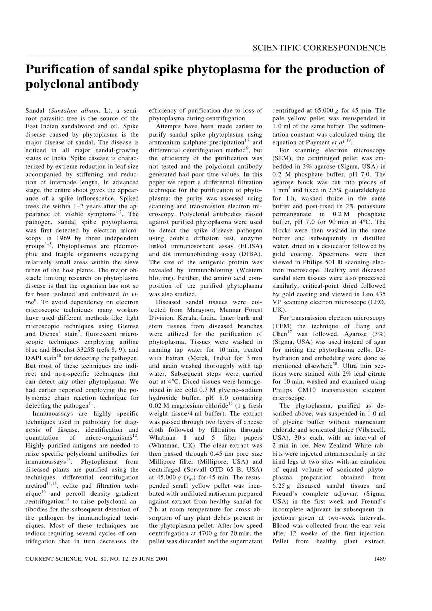 PDF) Detection of sandal spike phytoplasma by immunomicroscopy.