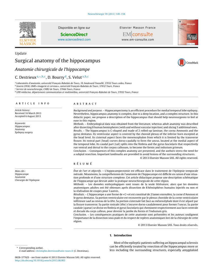 hippocampus anatomy histology subiiculum