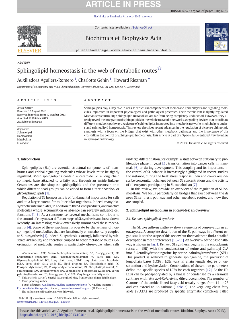 PDF Sphingolipid Homeostasis in the Web of Metabolic Routes 