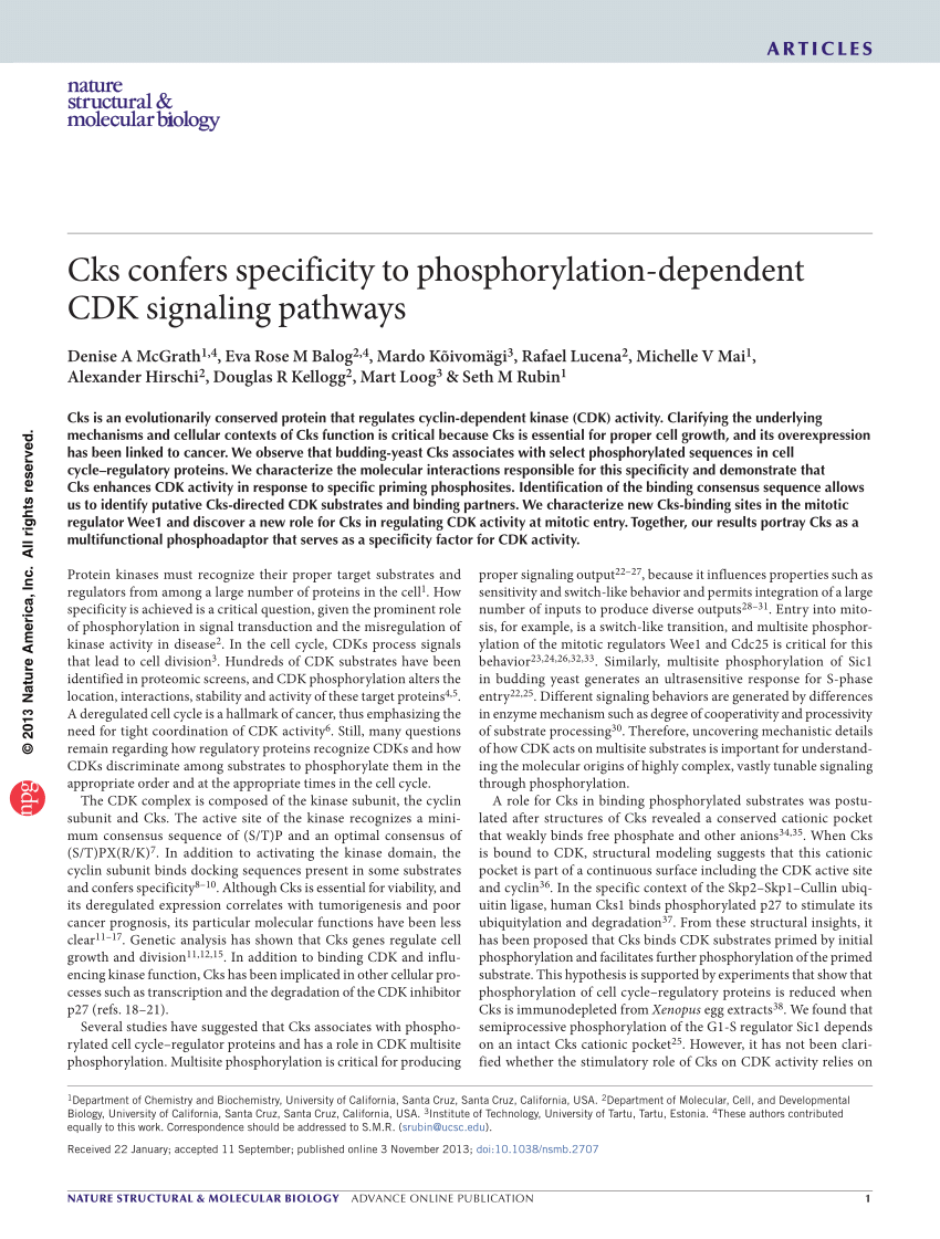 CKS Schulungsunterlagen